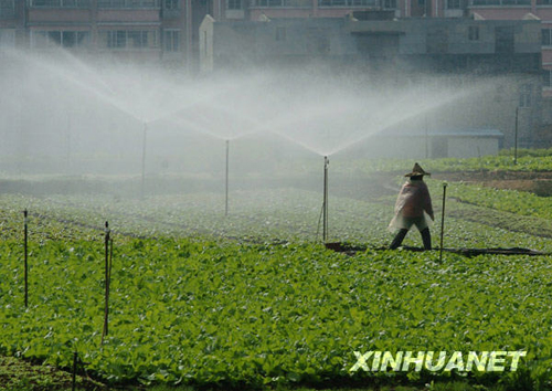 都市田园春色浓