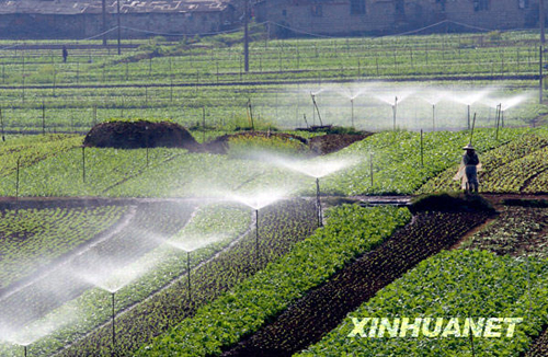 都市田园春色浓
