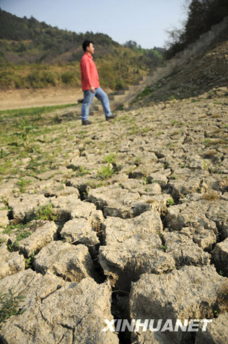 广西旱区群众积极抗旱