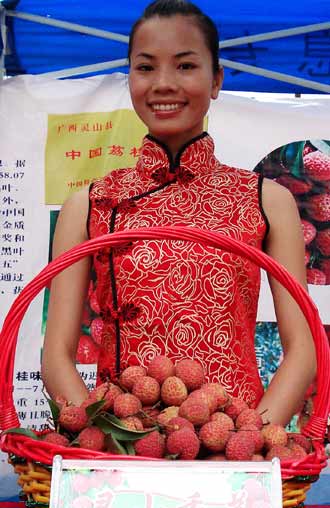 2010灵山荔枝节火红登场