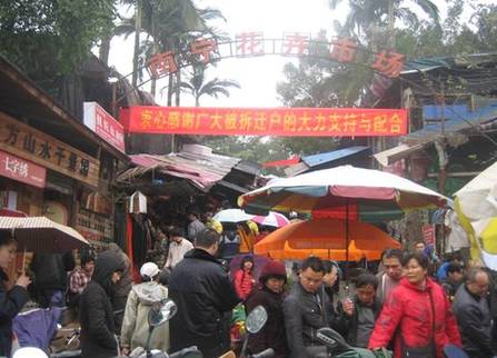 南宁市花鸟市场上演“最后的疯狂”