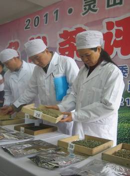 灵山县举办名优茶评比会 专家为名优茶“选美”