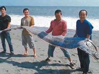 广西发生枪击案 米粉店老板娘称没奶茶被打死