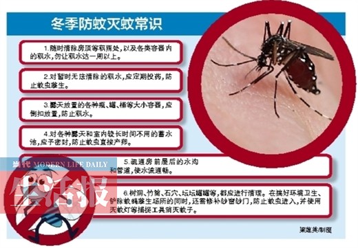 蚊子会通过蛰伏和产卵方式越冬 冬季仍需坚持灭蚊