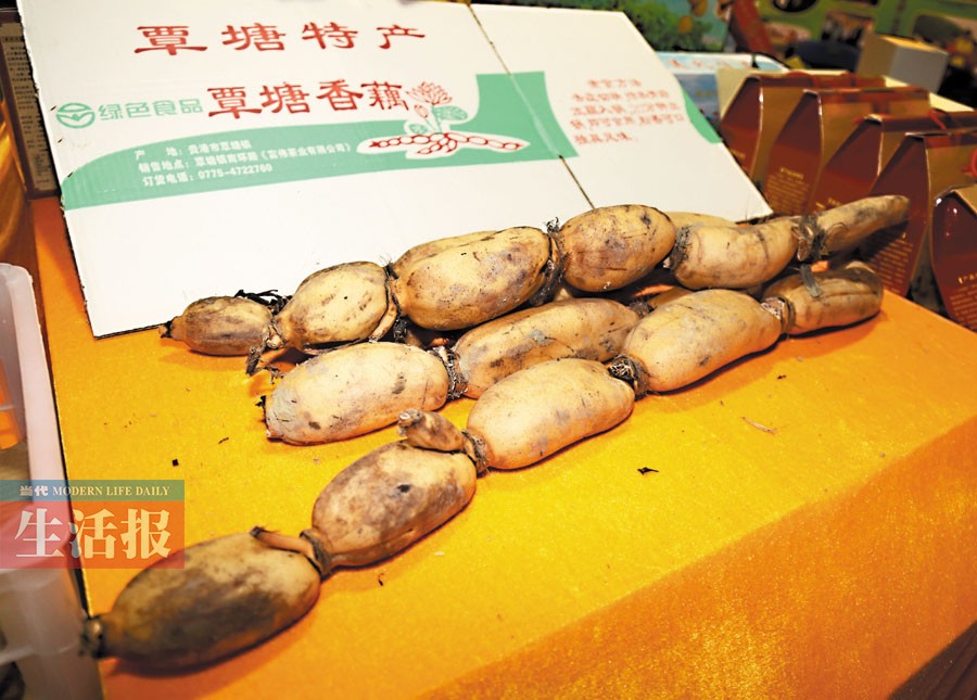 2014广西“科普惠农兴村计划”特色农产品展销会昨开幕