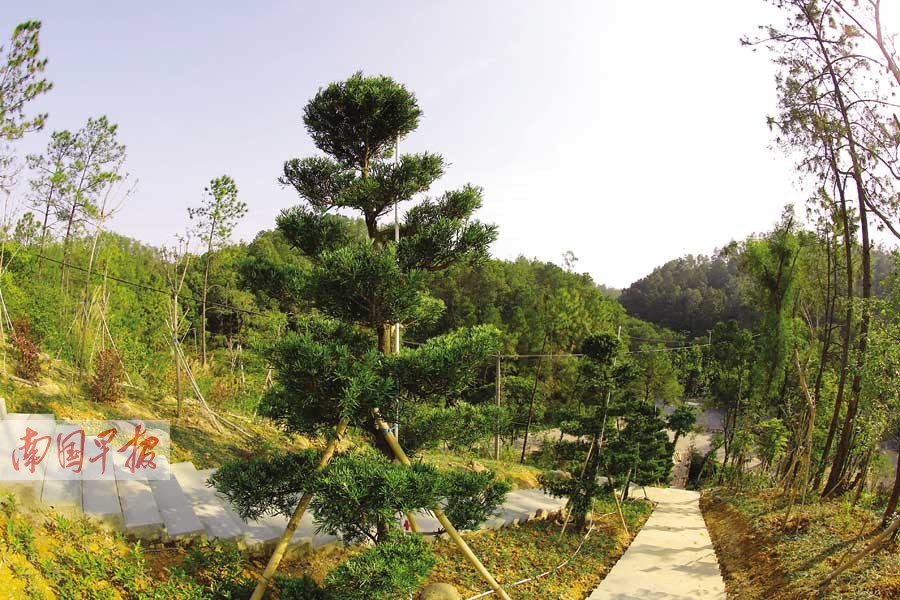 钦州游玩又添两景点 植物园里赏花江滨公园看水