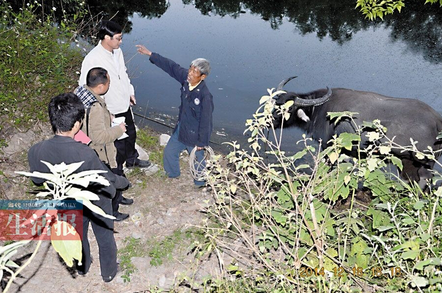 绿树成荫 “光荣榜”见证坛榜坡建生态村决心