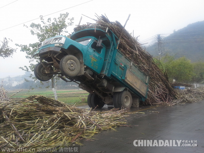 广西来宾一货车超重致车头翘起 十余吨甘蔗散