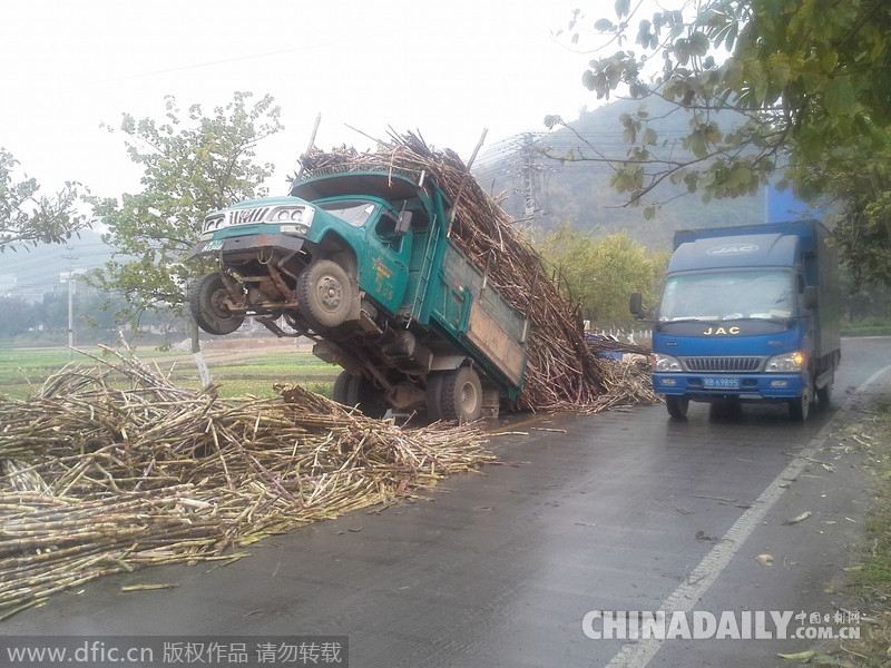 广西来宾一货车超重致车头翘起 十余吨甘蔗散