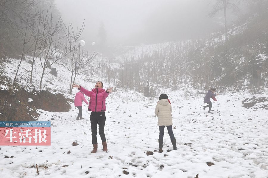 鹅毛大雪飘落百色山区 错过这波雪景还有下波