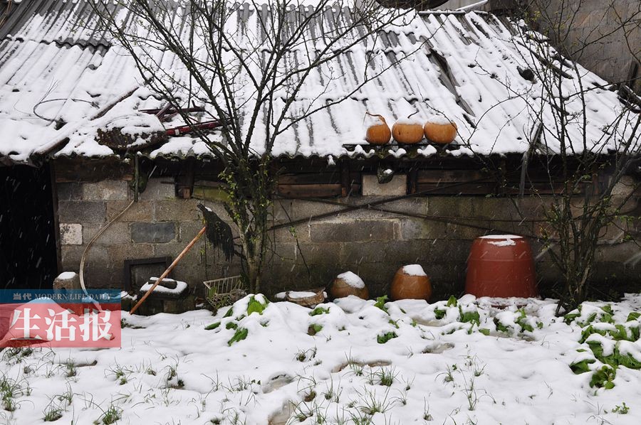 鹅毛大雪飘落百色山区 错过这波雪景还有下波
