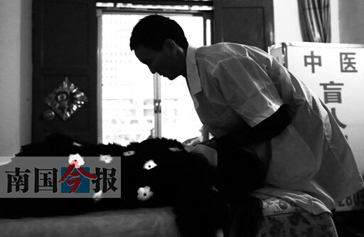 土豪兄长为失明小弟征婚续:多名女子愿做他的眼睛
