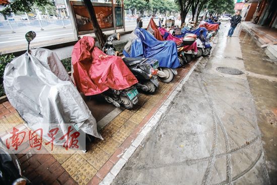 南宁道路交通安全条例征求意见 停车位撤立引众议
