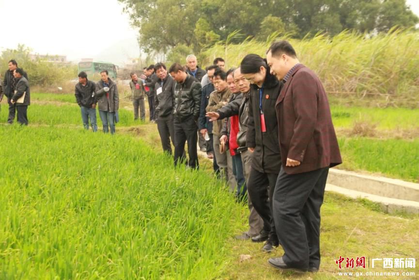 广西象州法院院长密切联络人大代表展开交流活动