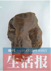 男子扎根南宁21年收藏邕江石60吨 想开博物馆
