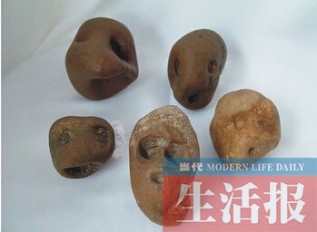 男子扎根南宁21年收藏邕江石60吨 想开博物馆