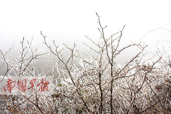 2015年第一场冷空气影响广西 南宁局地降温达9℃