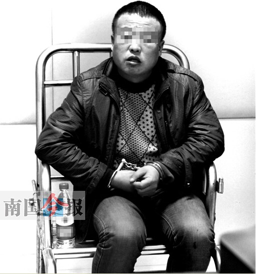 男子伪造合格证从疫区偷运活羊 问题羊被检出布病