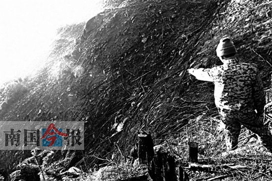 元宝山400亩左右公益林疑遭毁坏 事发融水香粉乡