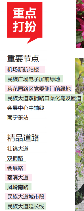 南宁将种植鲜花五百万株 覆盖重要区域和精品道路