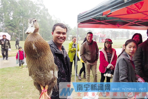 南宁金沙湖景区正式开门迎客 观天鹅摘草莓等你来