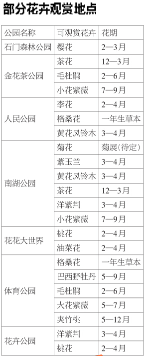 市区可赏花县区有花海 “花样南宁”吸引游客逐香来
