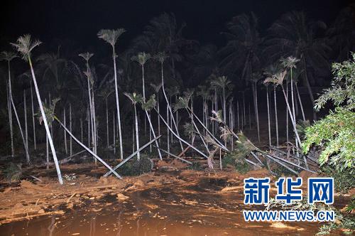 海南:泥石流致东线高速公路部分中断