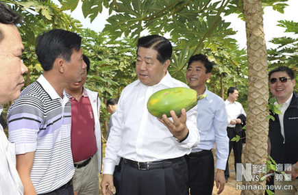 全国政协主席贾庆林在海南调研（组图）