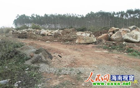 网友:海南临高新盈镇乱采乱挖让人心痛