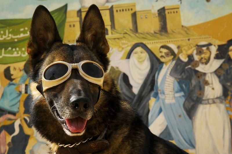 海航·宝岛助学金全方位资助97名贫困学生