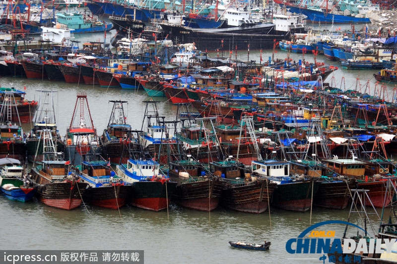 海南防风响应升至III级 台风“百合”致2万余渔船回港避风