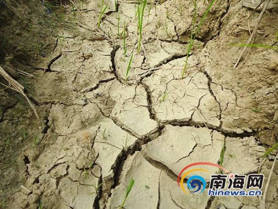 荣城镇人口_城镇人口比重图片