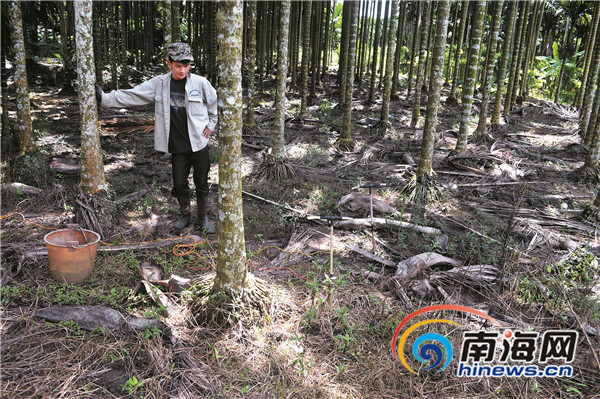 海南琼海捕杀蚯蚓产业引关注 农业部门将介入