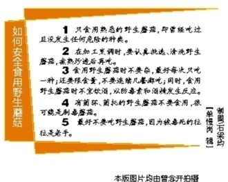 海南已发现近千种蘑菇 估计总数有2万多种