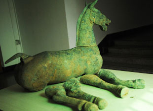 海口 快活林酒庄 里藏着百余只保护动物 被查处