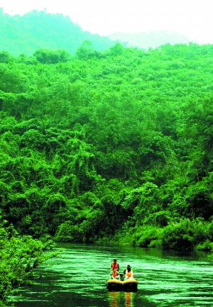海南争取建国家公园 把全岛当整体森林规划