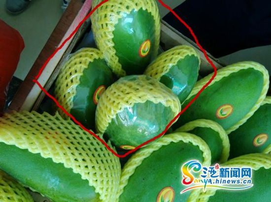 三亚商家挂羊头卖狗肉 用木瓜充当芒果卖被查