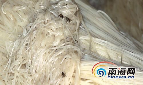 苍蝇乱飞恶臭扑鼻 海口一黑海南粉加工厂被查