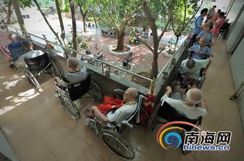 失能老人护理如何破题？明年海南或发失能老人补贴