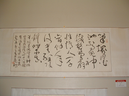 翰墨跨越时空一海南2011年中国书法展开展