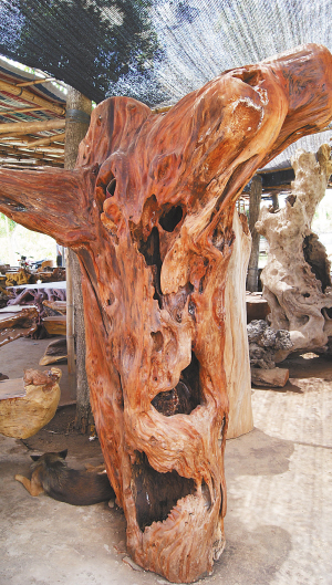 花梨紫檀与海南岛的前世今生\/组图