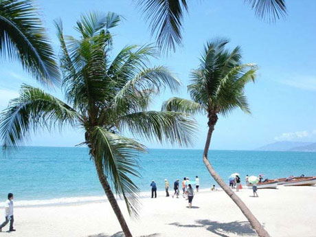 三亚湾：二十里椰林画廊