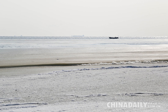 这个冬天，秦皇岛海岸现“冰海”奇观
