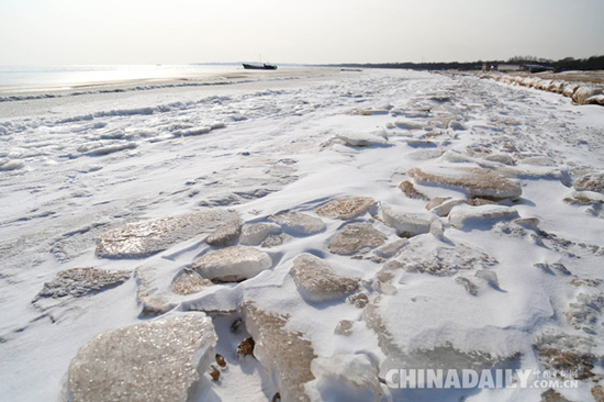 这个冬天，秦皇岛海岸现“冰海”奇观