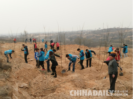 邢台市爱心组织“慈行邢台”植树节义务植树千余棵