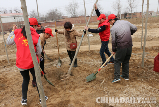 爱心志愿者义务植树150颗 播下希望种子共建幸福林