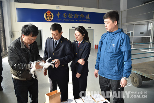 石家庄正定机场中邮国际快件分拣中心成功运营