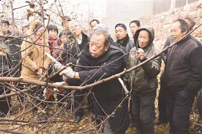 “数”说一生精彩 “抒”写为农情怀