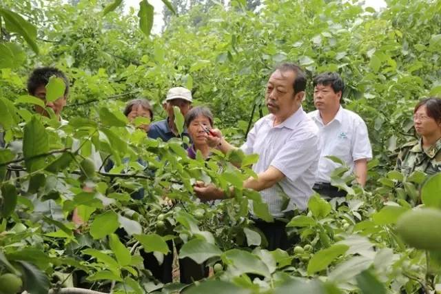 一个“农民教授”，为何感动了百万河北人