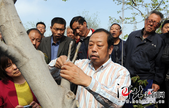 太行山作证——追记河北农业大学教授李保国